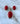 Red Coral Set